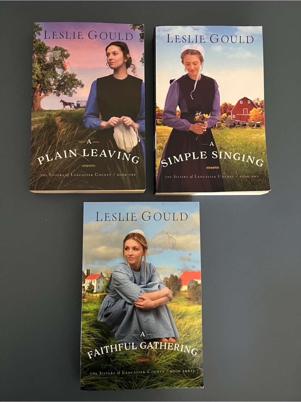 The Sisters Of Lancaster County Books Lot Amish Novels Leslie Gould Set 1-3 2 PB